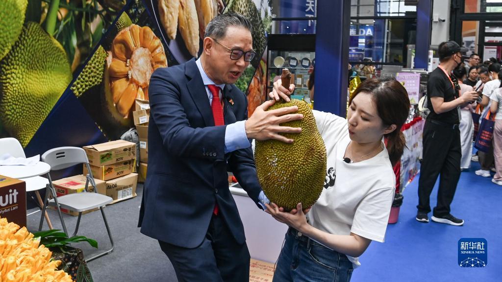 新匍京官网
